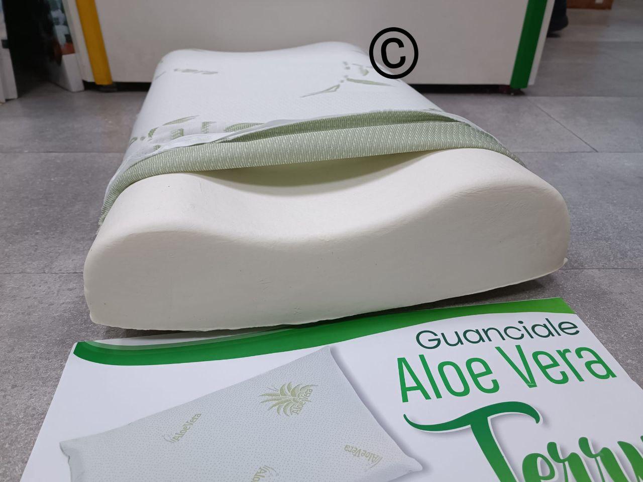 Cuscino aloe vera