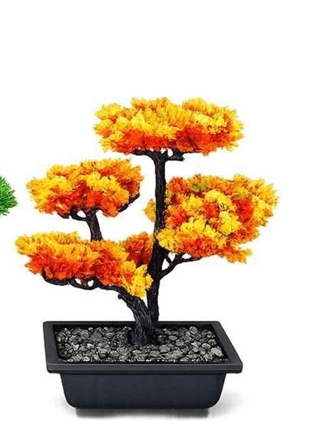 NUOVO BONSAI ARTIFICIALE ✨🌿
🤩 Elegante, realistico e senza manutenzione!