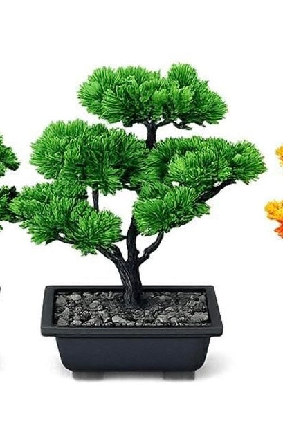 NUOVO BONSAI ARTIFICIALE ✨🌿
🤩 Elegante, realistico e senza manutenzione!