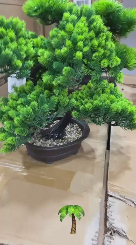 NUOVO BONSAI ARTIFICIALE ✨🌿
🤩 Elegante, realistico e senza manutenzione!